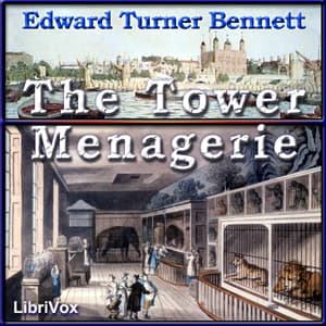 Tower Menagerie