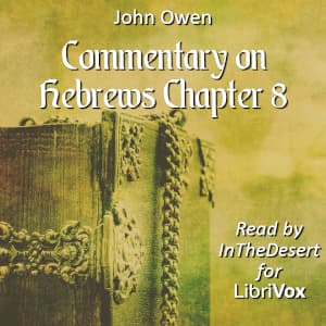 Commentary on Hebrews Chapter 8