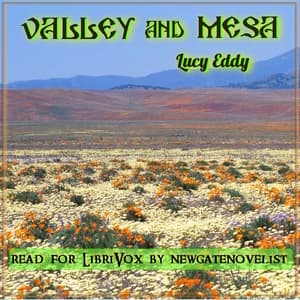Valley and Mesa