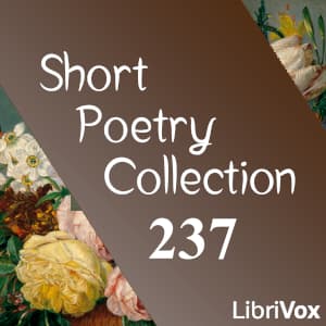 Short Poetry Collection 237