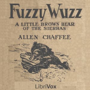 Fuzzy Wuzz - A Little Brown Bear of the Sierras
