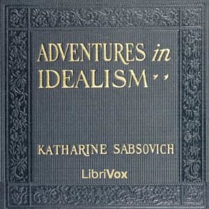 Adventures in Idealism