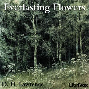 Everlasting Flowers