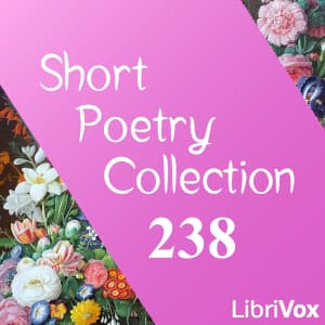 Short Poetry Collection 238