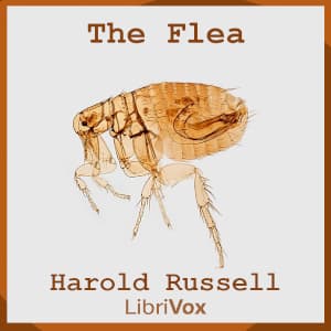 Flea
