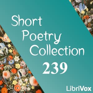 Short Poetry Collection 239