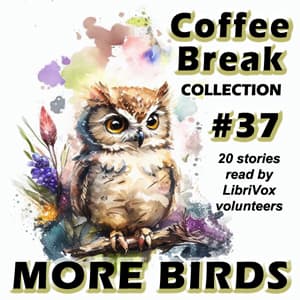Coffee Break Collection 037 - More Birds