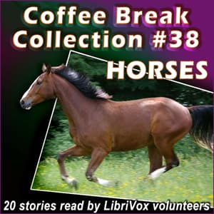 Coffee Break Collection 038 - Horses
