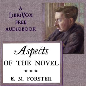 Aspects of the Novel