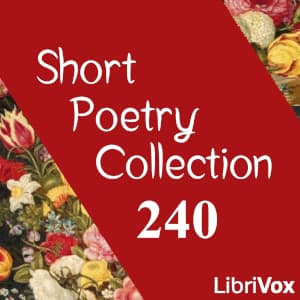 Short Poetry Collection 240