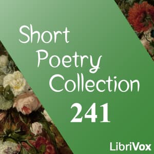 Short Poetry Collection 241