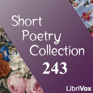 Short Poetry Collection 243