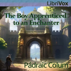 Boy Apprenticed to an Enchanter