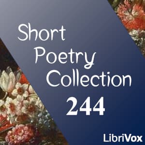 Short Poetry Collection 244