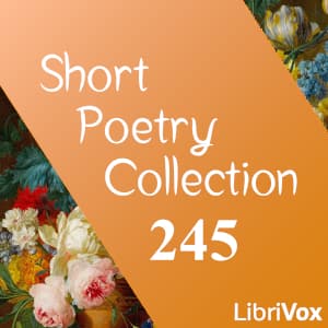 Short Poetry Collection 245