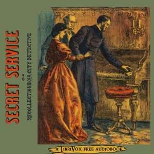 Secret Service; or, Recollections of a City Detective