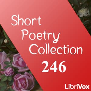 Short Poetry Collection 246