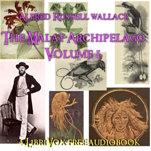 Malay Archipelago, Volume 1