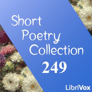 Short Poetry Collection 249
