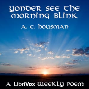 Yonder See the Morning Blink