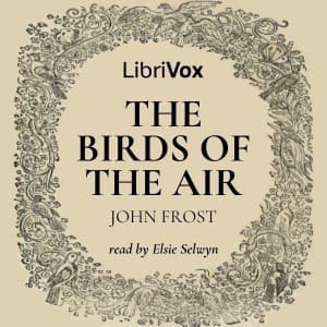 Birds of the Air