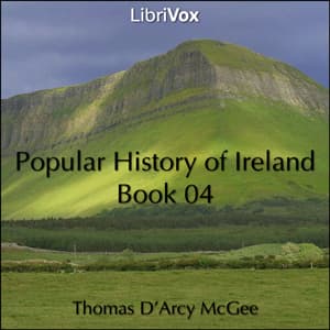 Popular History of Ireland, Book 04