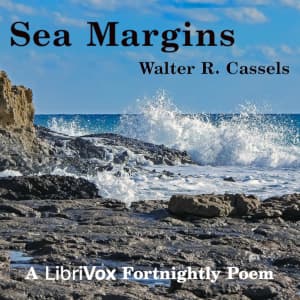Sea Margins