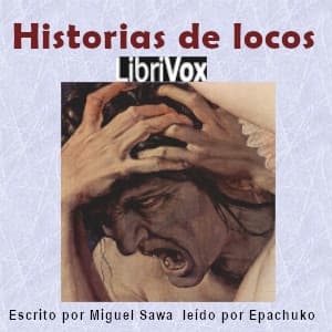 Historias de locos