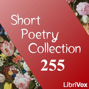 Short Poetry Collection 255