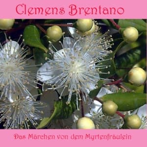 Märchen von dem Myrtenfräulein