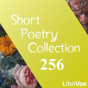 Short Poetry Collection 256