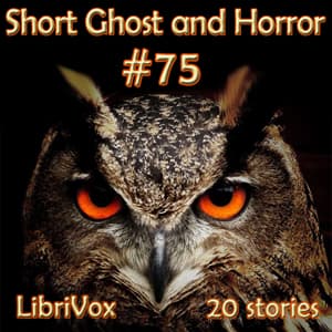Short Ghost and Horror Collection 075