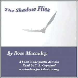 Shadow Flies