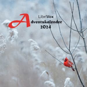 Adventskalender 2024