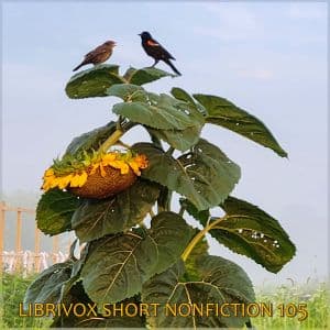 Short Nonfiction Collection, Vol. 105