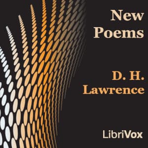 New Poems (Version 2)