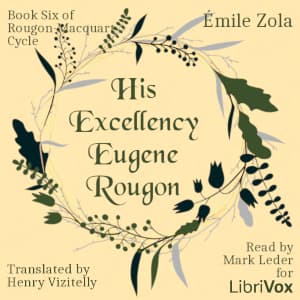 His Excellency Eugene Rougon, Book Six of Rougon-Macquart Cycle