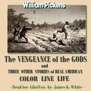 Vengence of the Gods: And Three Other Stories of Real American Color Line Life