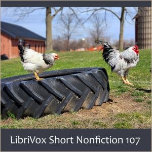 Short Nonfiction Collection, Vol. 107