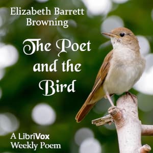 Poet And The Bird