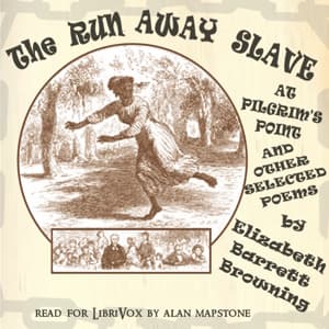 Runaway Slave at Pilgrim's Point and Selected Other Poems
