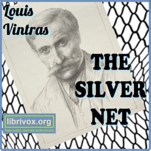 Silver Net