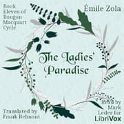 Ladies' Paradise, Book Eleven of Rougon-Macquart Cycle (Version 2)
