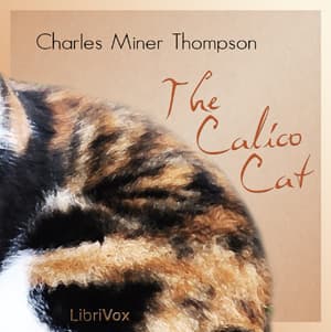 Calico Cat