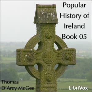 Popular History of Ireland, Book 05