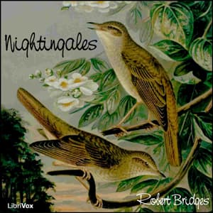 Nightingales