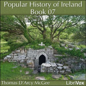 Popular History of Ireland, Book 07