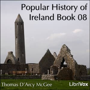 Popular History of Ireland, Book 08