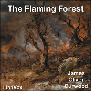 Flaming Forest