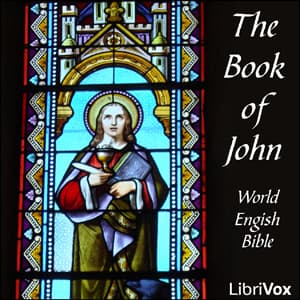 Bible (WEB) NT 04: John